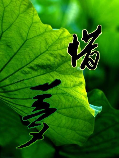 漫漫长路,汝何所忆:惜梦