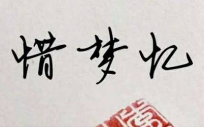 惜梦忆
